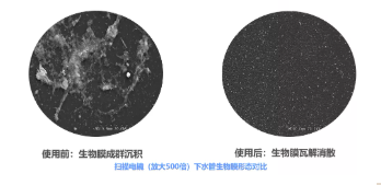 1636098566966188.png image.png